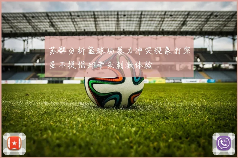 苏群分析篮球场暴力冲突现象打架虽不提倡却带来刺激体验