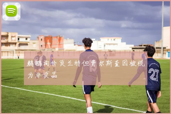 鹈鹕询价莫兰特但费尔斯奎因被视为非卖品