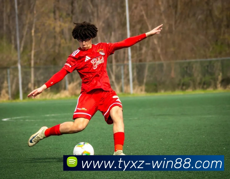 体育下注平台品牌故事